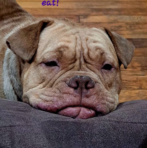 Trade Label - Picture 1 of 1